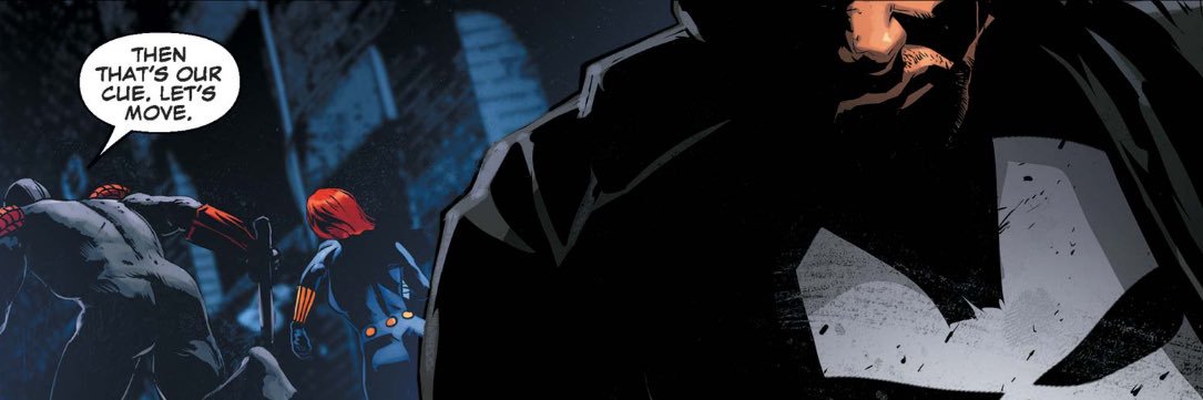 Frank Castle. banner