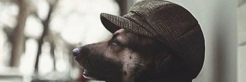 firstofHisName banner