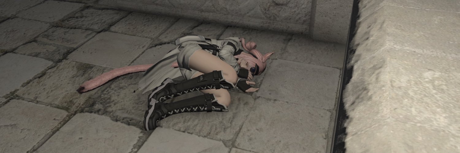 Niki🐈‍⬛ banner
