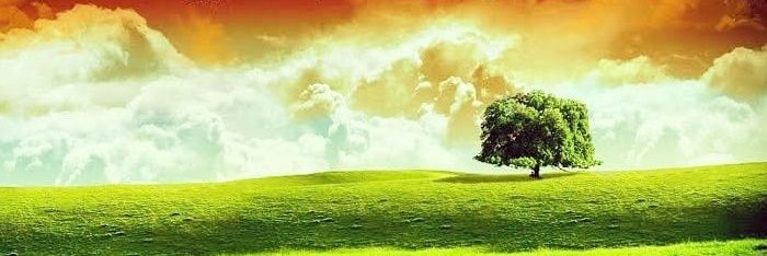 Bandra Community banner