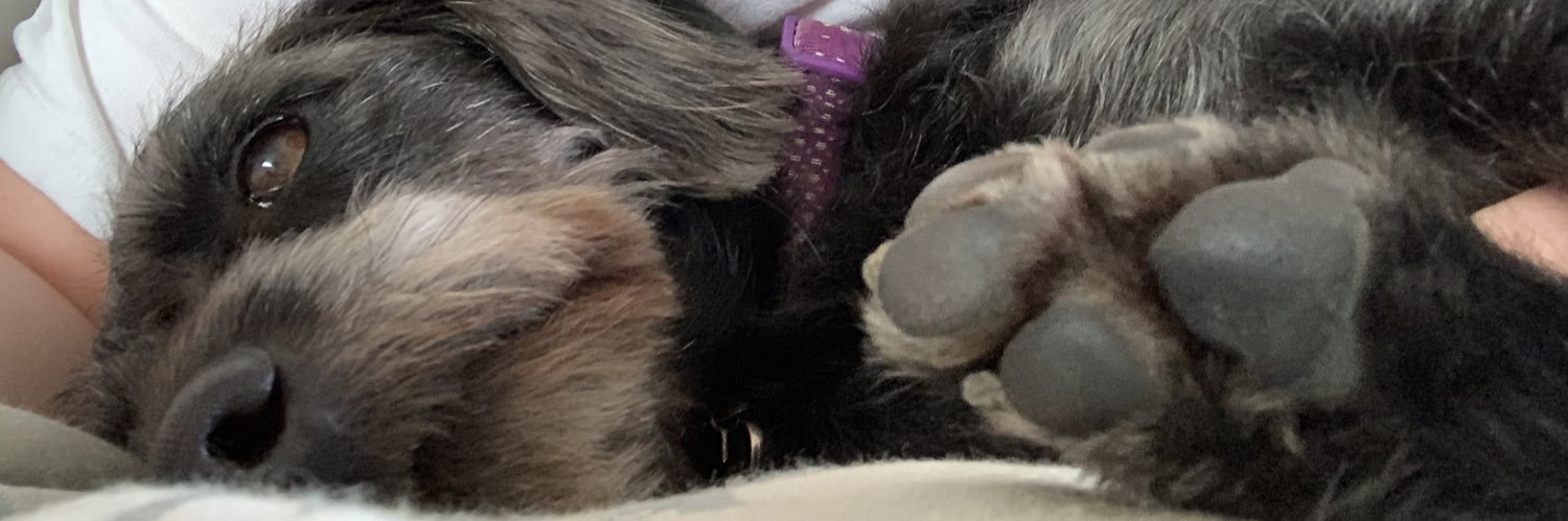 James Ormerod banner