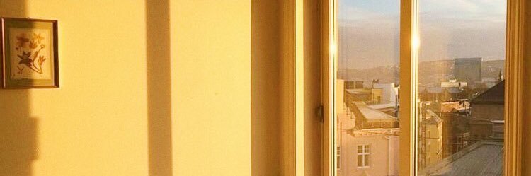 emilyaulert's profile banner image