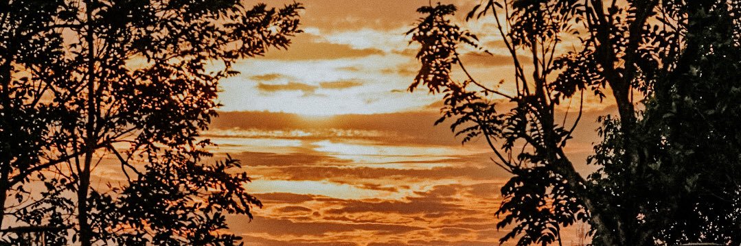 DanielHackerz's profile banner image
