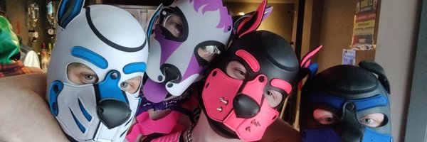 NovaFoxPup Profile Banner