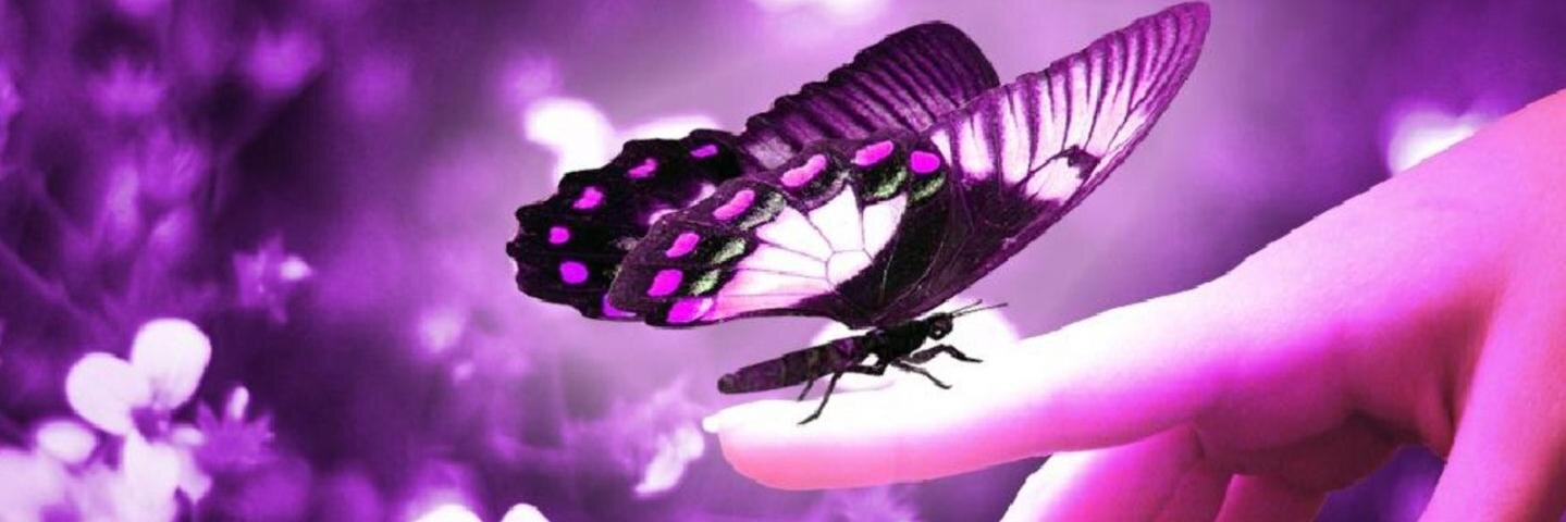 danili87's profile banner image
