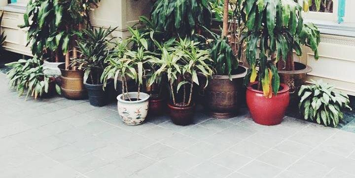 undone_ca's profile banner image