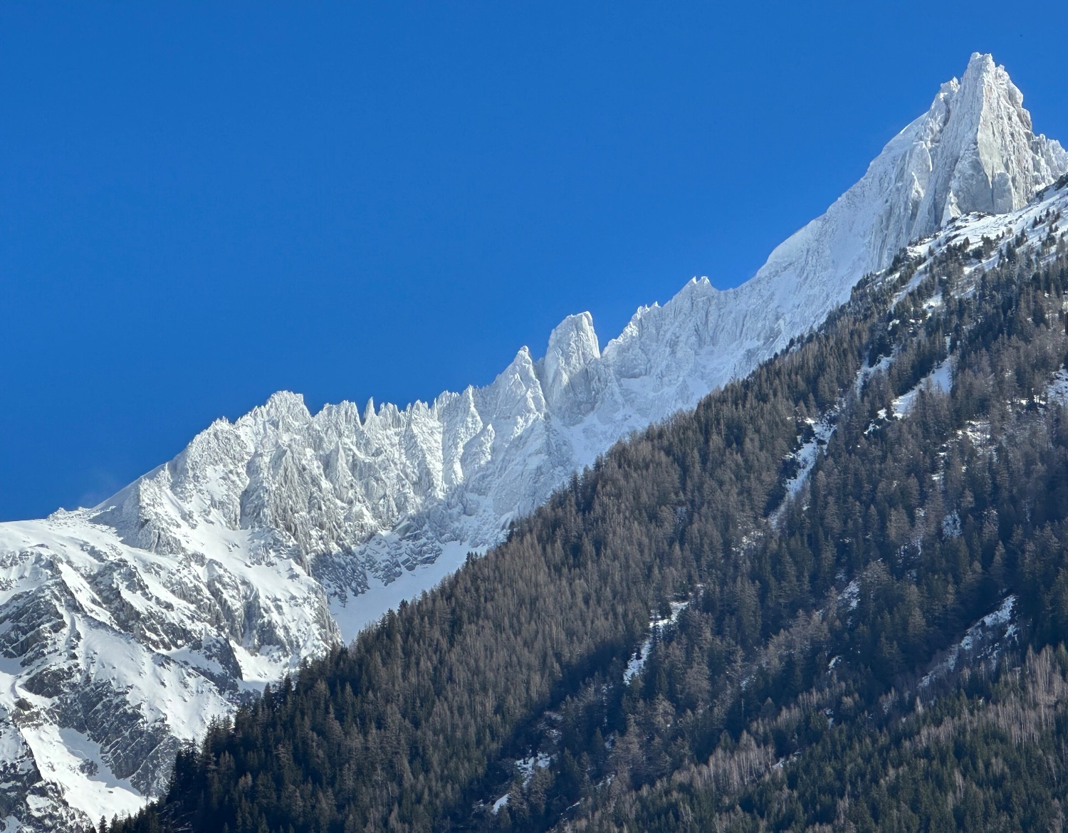 Tendiguide's profile banner image