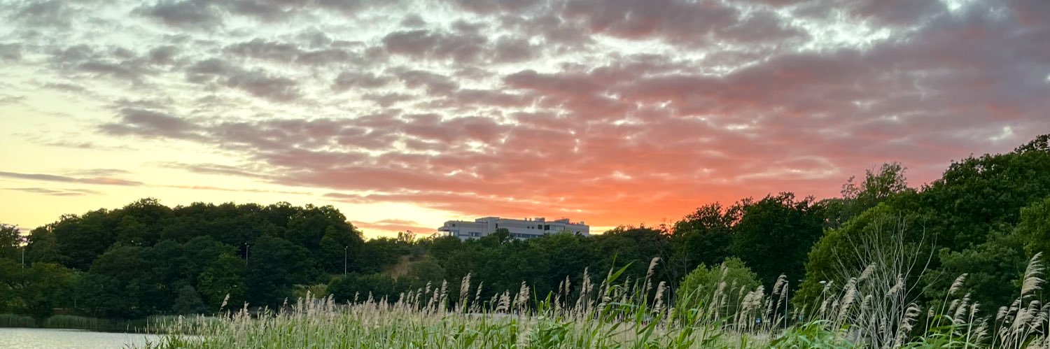 دل داده علی🟩 ☫ 🟥 banner