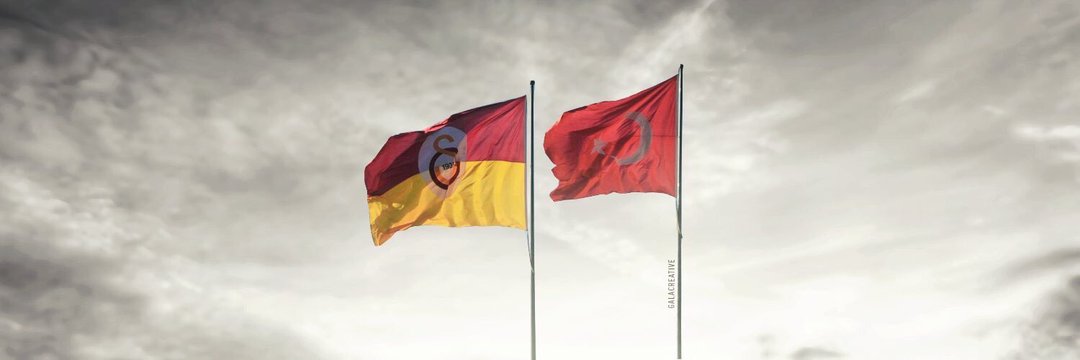 elaalpera's profile banner image