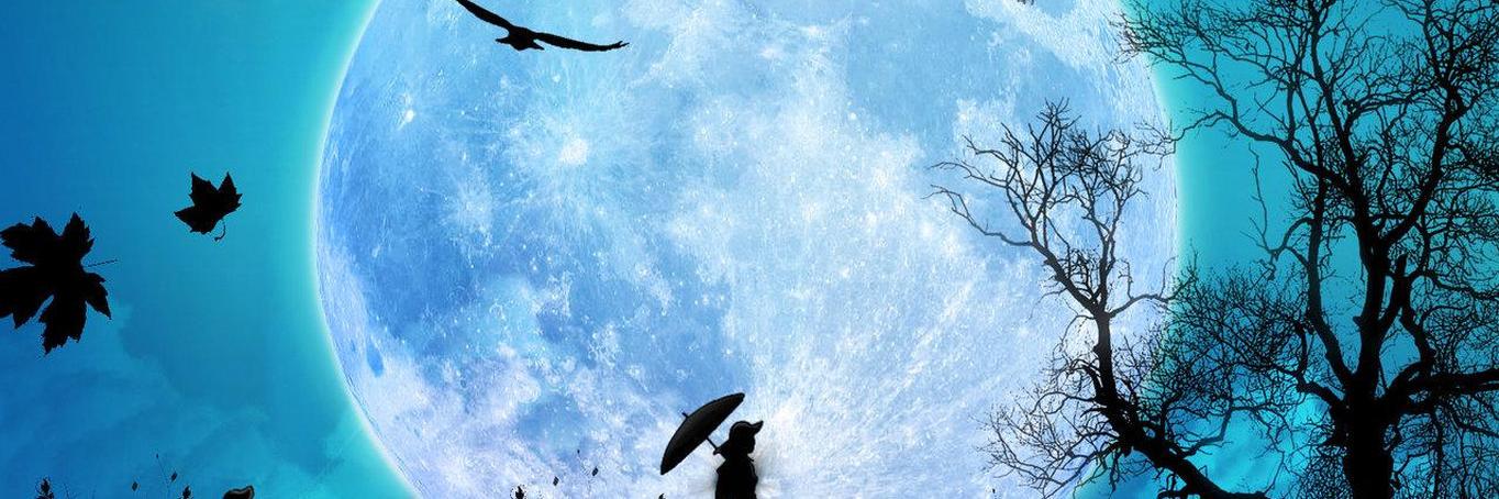 Sakura3_774's profile banner image