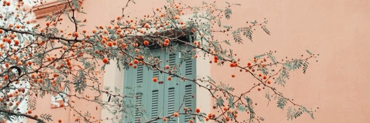 laurie_dpy_'s profile banner image