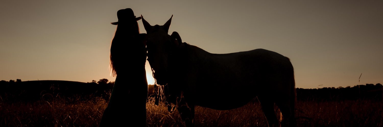 ccmangia's profile banner image