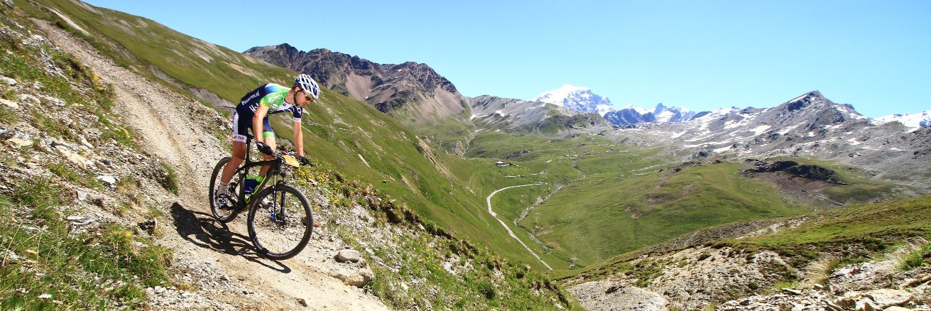 Rob van der Werf banner