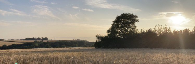 Burls99's profile banner image