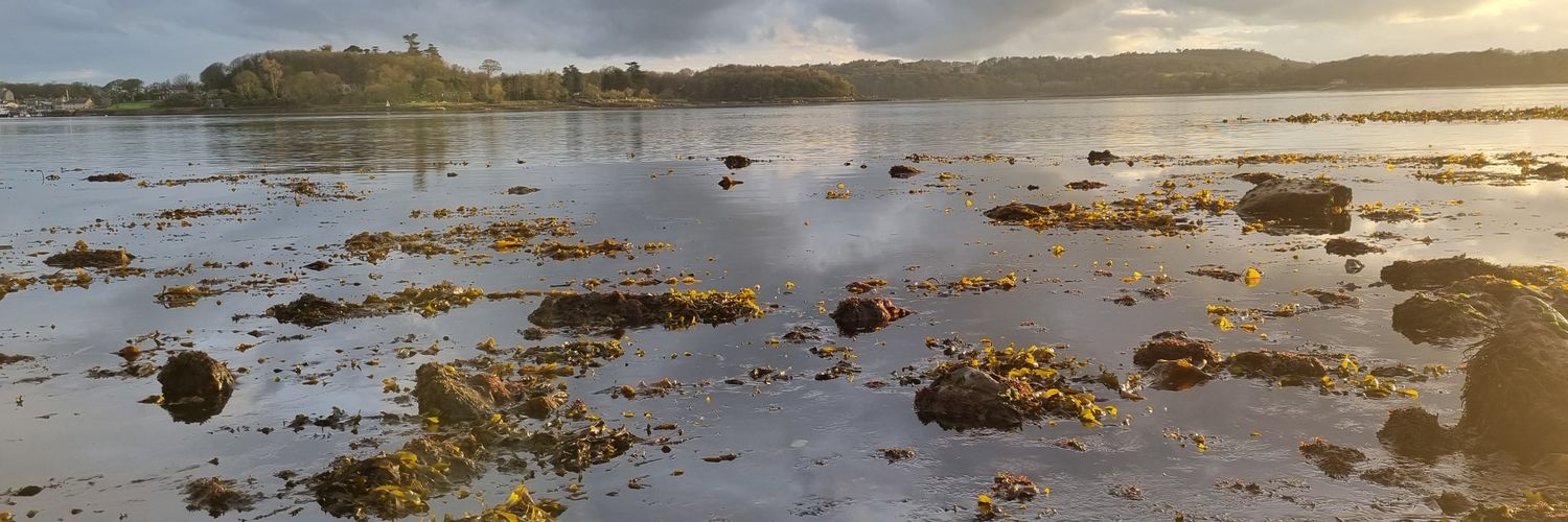 QueensMarineLab banner