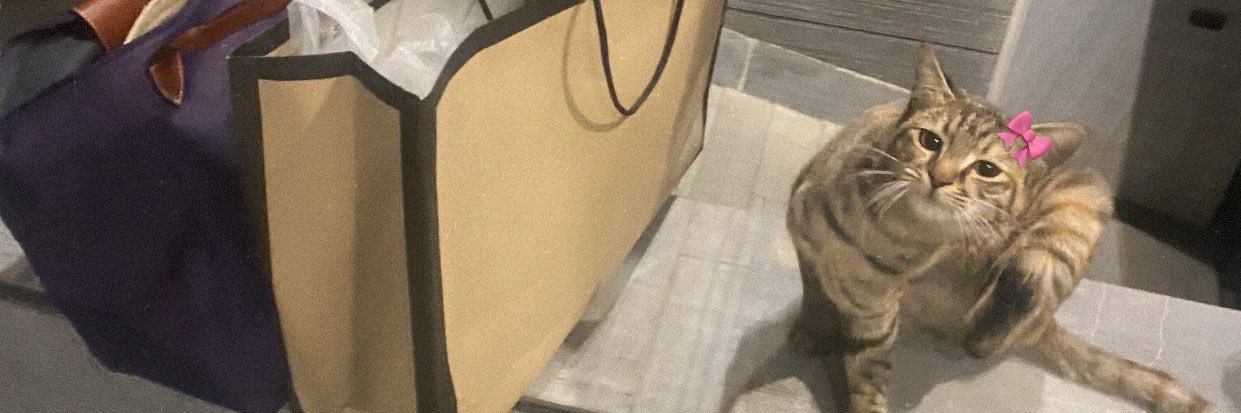 🧚🏼‍♀️ banner