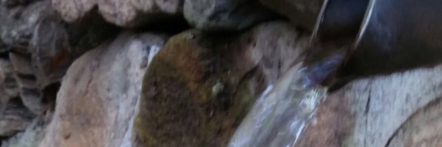 sara_maso's profile banner image