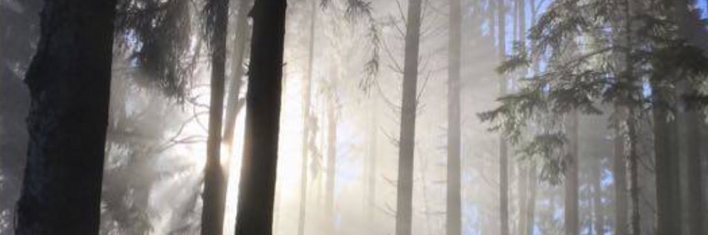 CaroleSchoch's profile banner image
