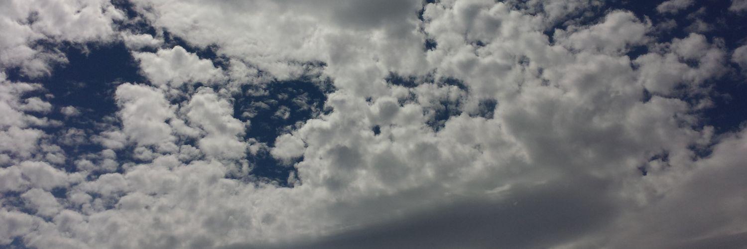 tatzmedel's profile banner image
