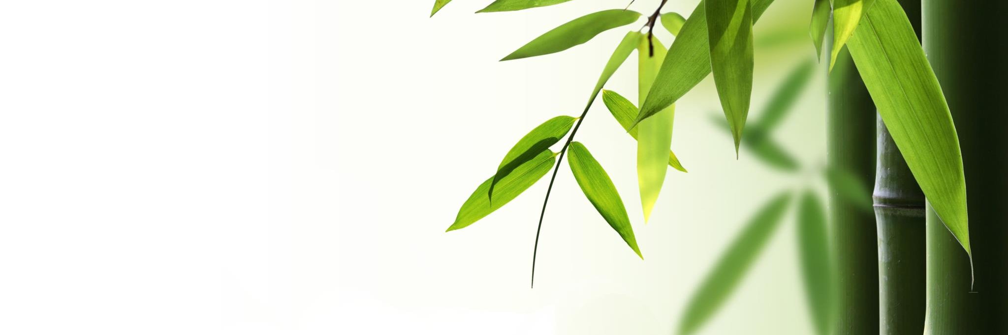 GaiaPresse's profile banner image
