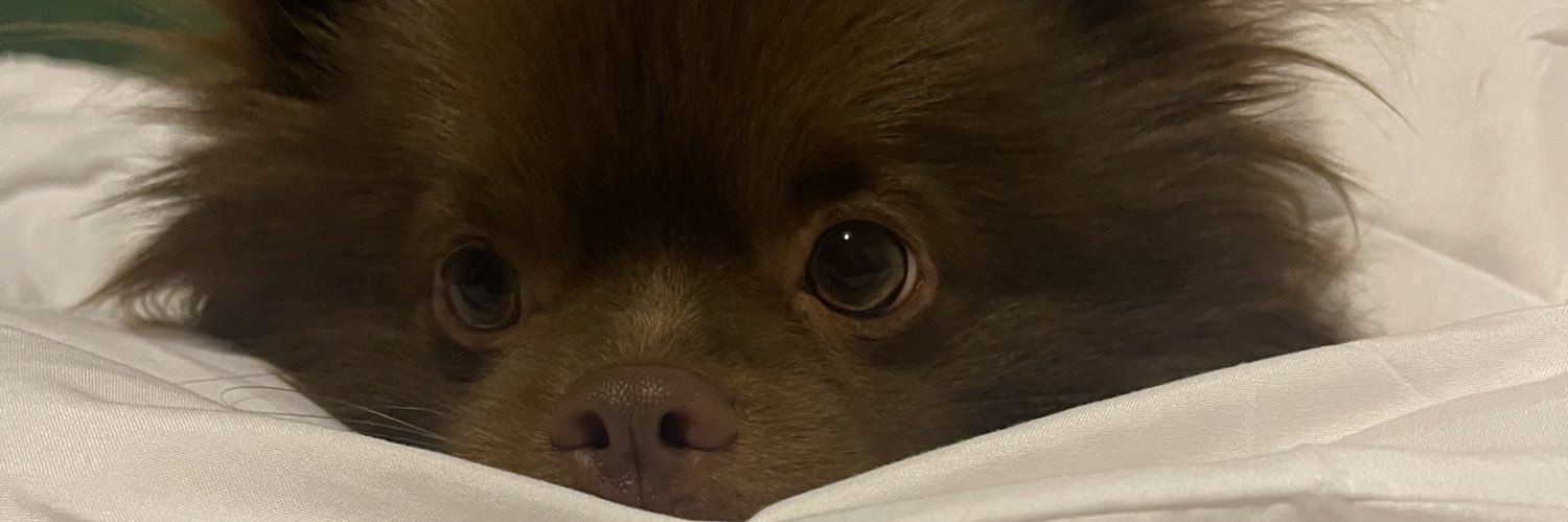 M banner