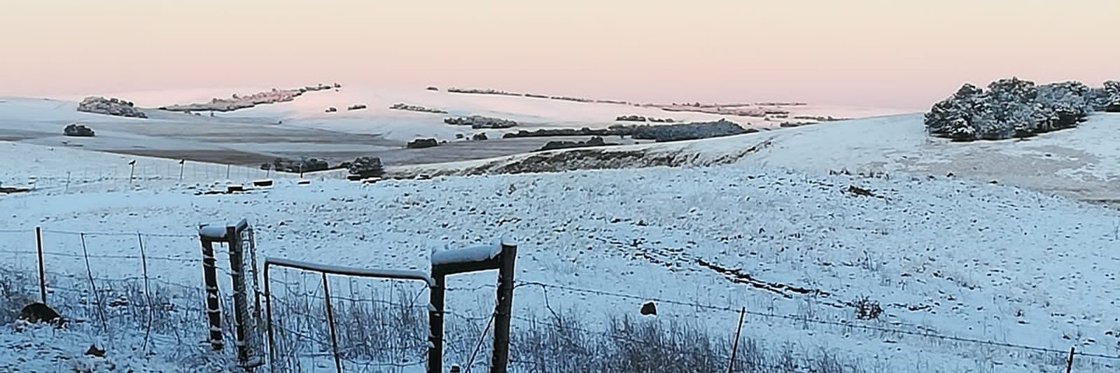 Christa Langner🇿🇦🧡🧡 banner