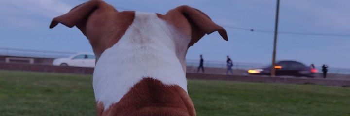 shiobarria1's profile banner image