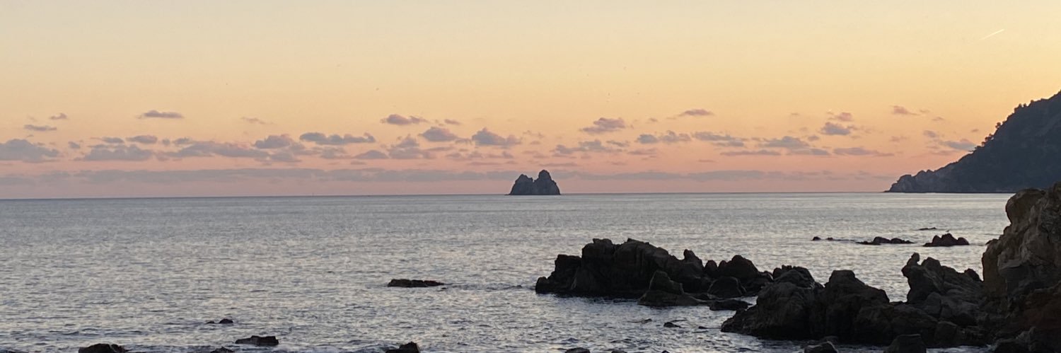 Alexandre Sadowski banner