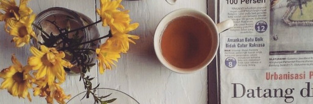 elenyle's profile banner image