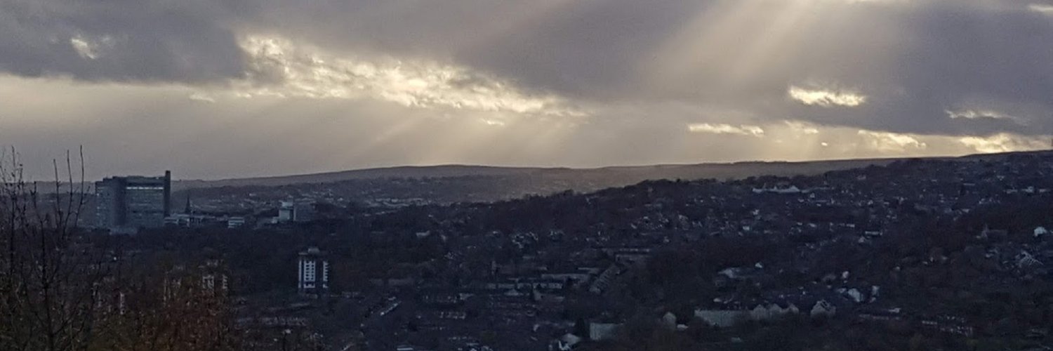 VineSheffield's profile banner image