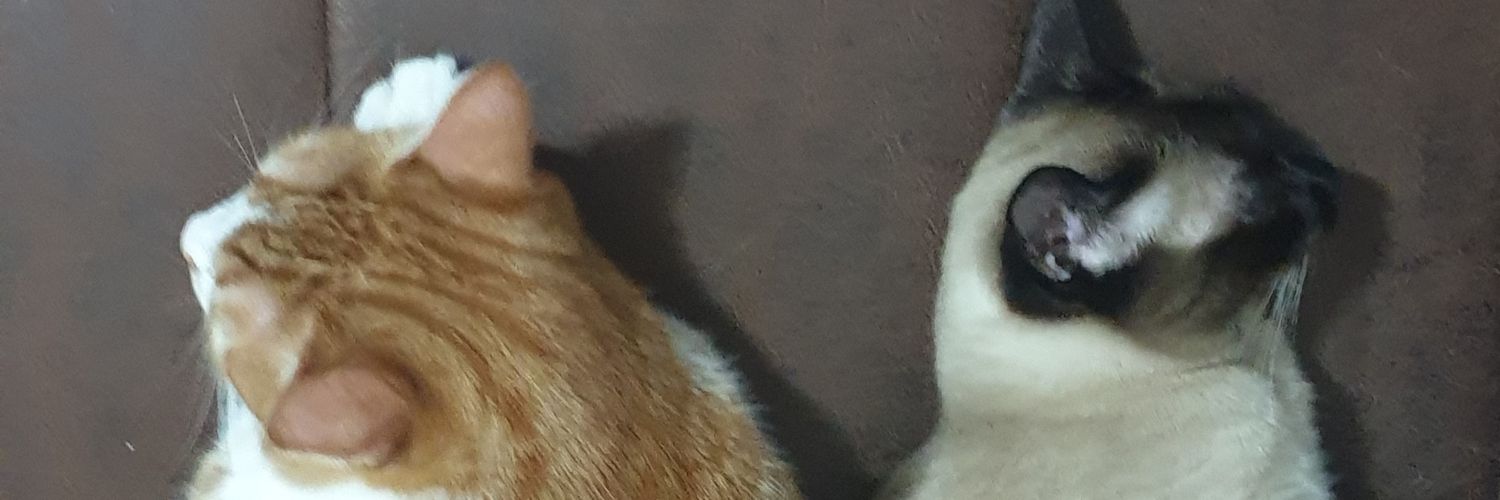 lune_gl's profile banner image