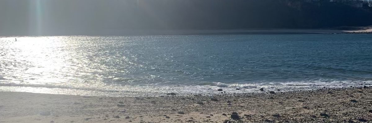 Jane banner