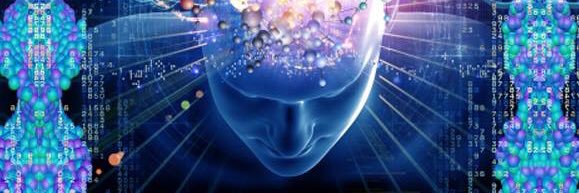 Steve Arkwright banner