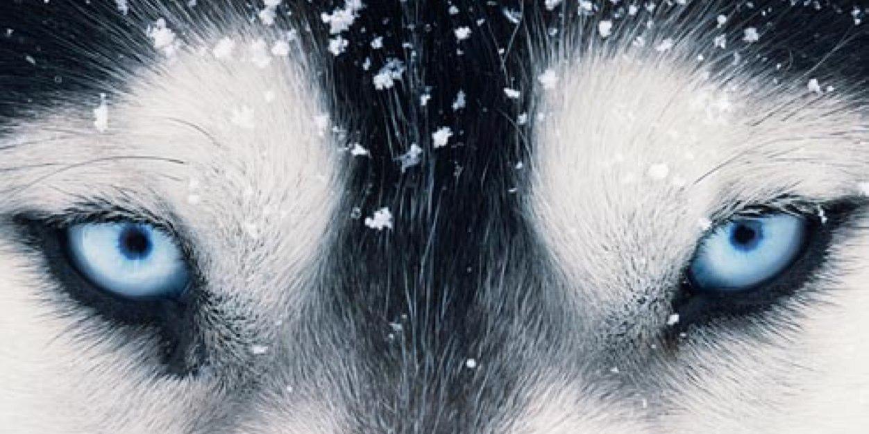 mikopaxton's profile banner image