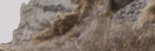beckbridgerr's profile banner image