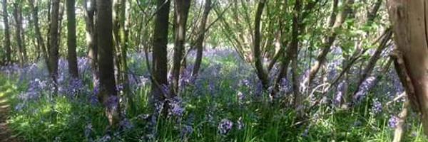 HelenFarrow Profile Banner