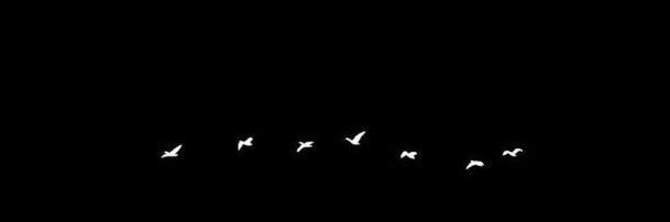 fcksocietyz's profile banner image