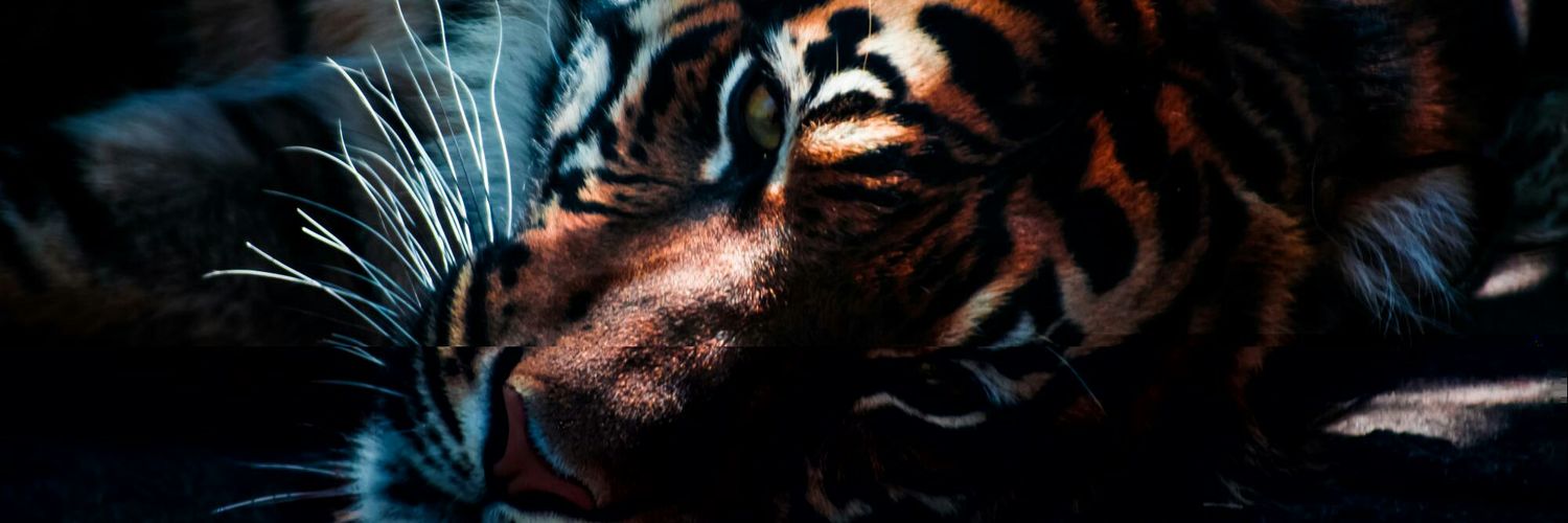 lilG00DNESS's profile banner image