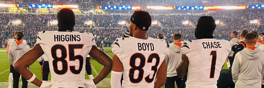 Dylan Swailes banner