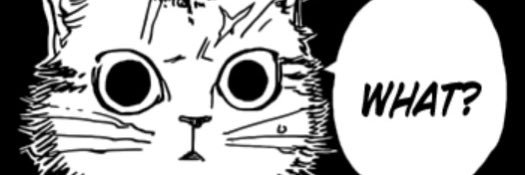 CopperKitty's profile banner image
