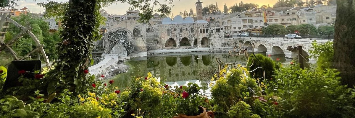 ShamiRebel's profile banner image