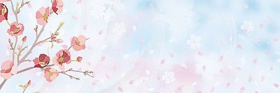 applepie_Rian's profile banner image