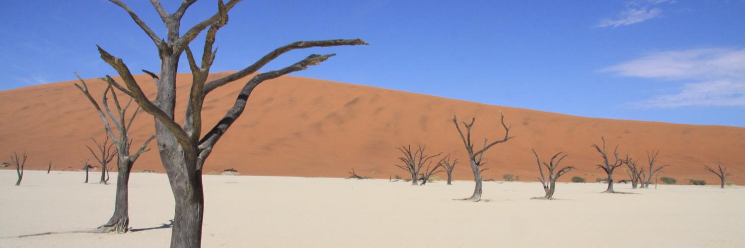 adrienfreville's profile banner image