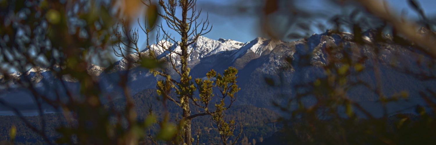 Os0790's profile banner image