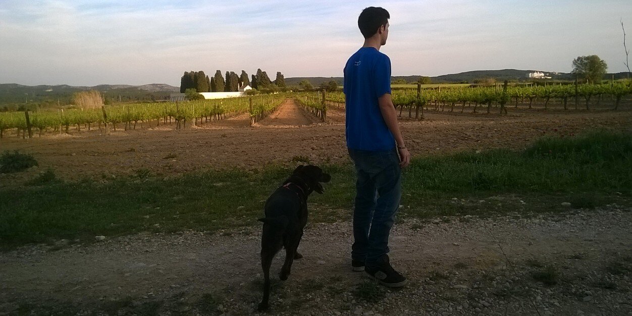 13Miquel's profile banner image