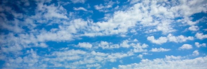 annekss's profile banner image