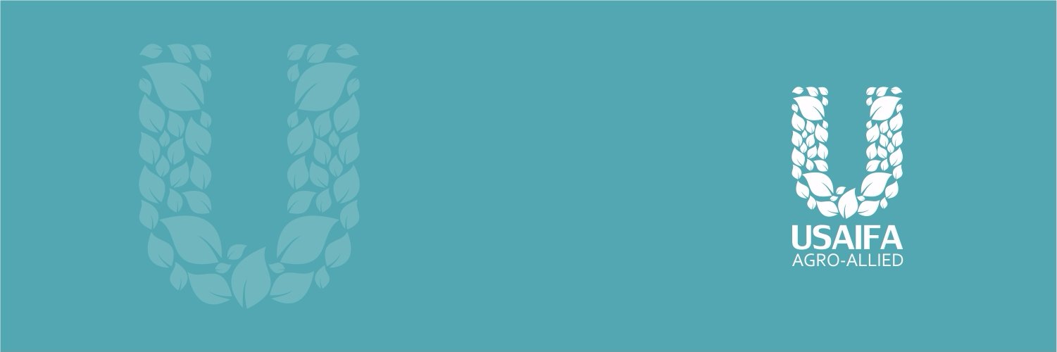 UsmanAliNG's profile banner image