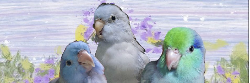 o_chabo's profile banner image