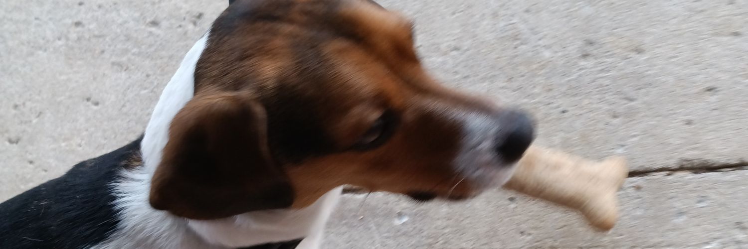 realloristuart's profile banner image