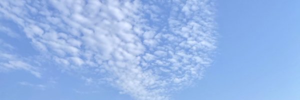 adajonuse Profile Banner
